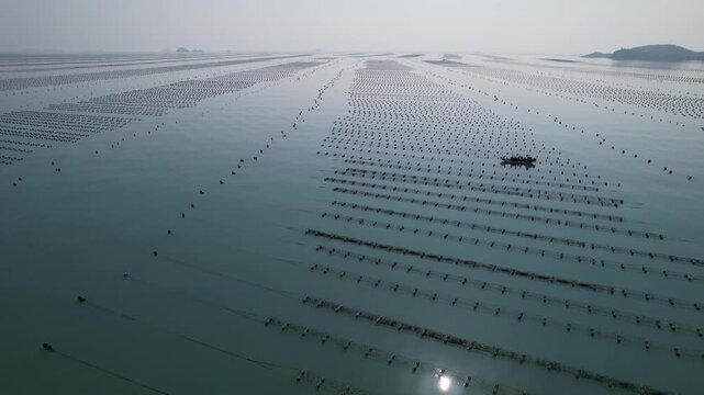 Top-down drone shot of abstract seaweed farm patterns on the blue ocean