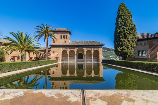 Simetr&iacute;a en la Alhambra. Una composici&oacute;n espectacular que captura el Palacio del Partal duplicado en su estanque, enmarcado por palmeras y un cipr&eacute;s bajo el intenso cielo azul granadino.