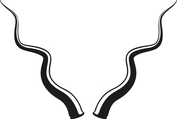 Kudu antelope horns isolated on white background © WinWin
