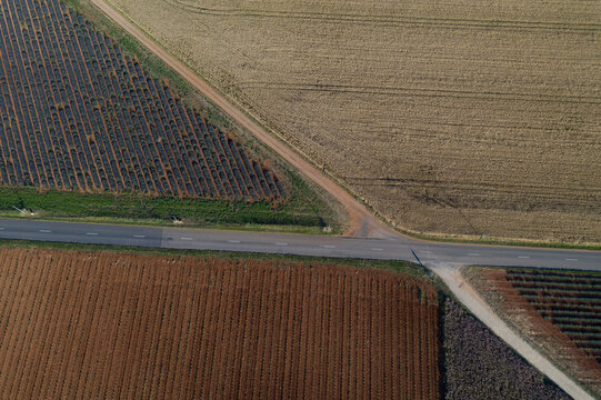 Aerial view of a patchwork quilt of earthy fields divided by roads, creating a geometric landscape of contrasting hues, Valensole, Provence-Alpes-Cote d'Azur, France.
