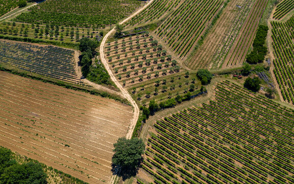 Aerial view of agricultural fields divided by a winding path showcasing varied textures and tones, creating a patchwork quilt effect, Valensole, Provence-Alpes-Cote d'Azur, France.