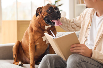 Young man reading book with Boxer dog on sofa at home