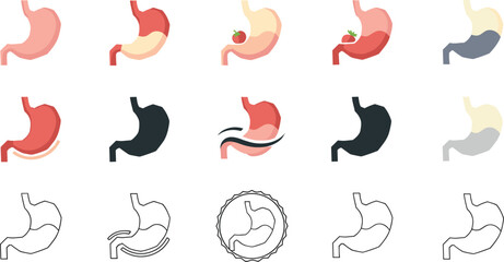 Human stomach anatomy icon set with digestive organ variations healthy and unhealthy stomach medical flat vector illustration collection