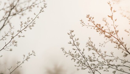 Obraz premium Showing thin woody branches bearing pale oval leaves, leaf buds in garden, with warm flare bokeh