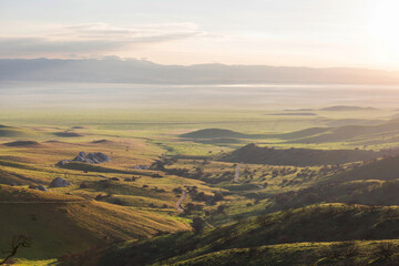 Naklejka premium Carrizo