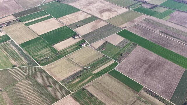 Aerial view of patchwork fields displaying a mosaic of textures and tones with roads cutting through, Mittelwihr, Grand Est, France.