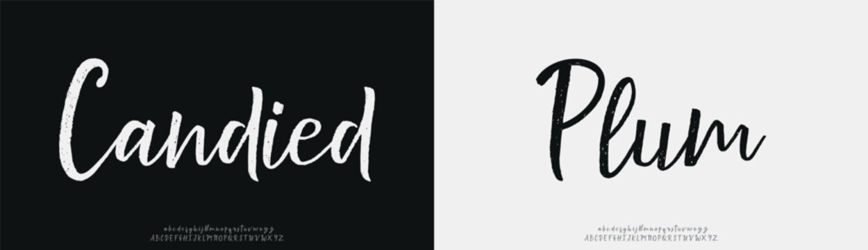 Candied Plum, Script Font Calligraphy Logotype Brush Font Type Font lettering handwritten
