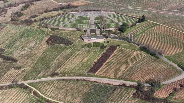 Aerial view of a symmetrical amphitheater surrounded by vineyards with contrasting textures and colors, creating a geometric landscape, Mittelwihr, Grand Est, France.