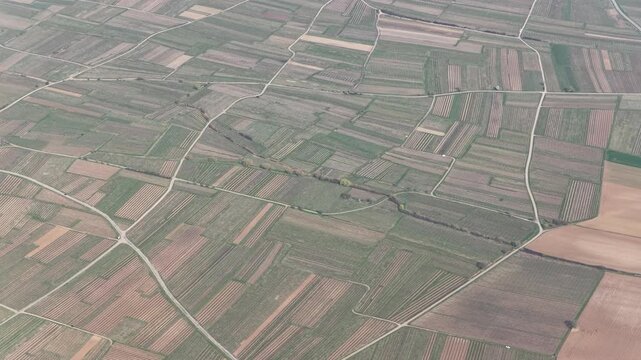 Aerial view of agricultural fields, showing a patchwork of textures and tones, with roads cutting through the landscape, Mittelwihr, Grand Est, France.