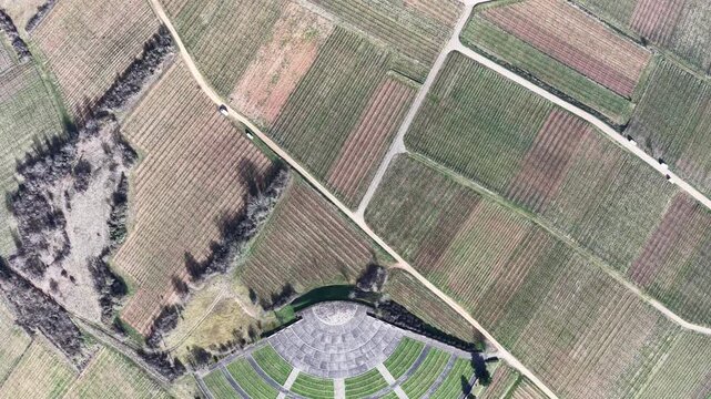 Aerial view of the amphitheater surrounded by vineyards with contrasting textures and tones, creating a patchwork of greenery, Mittelwihr, Grand Est, France.