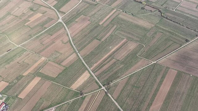 Aerial view of neatly divided patchwork fields, displaying a blend of earthy browns and verdant greens, Mittelwihr, Grand Est, France.