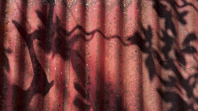 Shadows of moving foliages falling on a grooved metal sheet