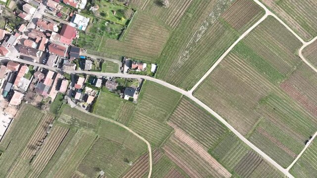 Aerial view of vineyards with roads cutting through fields, contrasting with the rooftops of Mittelwihr, Grand Est, France.