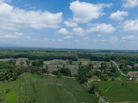 Wide angle aerial view of a mosaic landscape with a village road winding through dense teak forests and community fields.