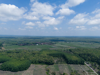 Fototapeta premium Aerial landscape of sustainable community forest and teakwood plantation under a clear blue sky.