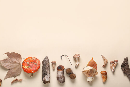 Composition with mushrooms, tree bark and autumn leaves on beige background