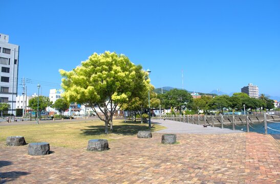 大分県　「かんたん港園」	