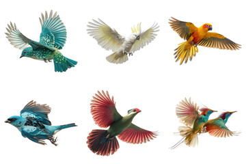 Obraz premium Colorful Birds Flying on Transparent Background