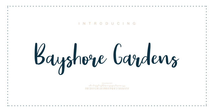 Bayshore Gardens, Script premium luxury elegant alphabet letters and numbers. Elegant wedding typography classic serif font decorative vintage retro. Creative vector illustration
