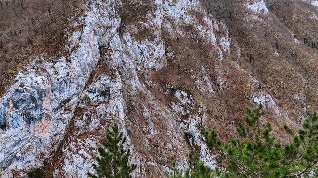 Detailed view of rocky mountain cliff side in Montenegro. Close aerial shot of textured grey rocky cliff with sparse vegetation and pine branches in Montenegro.
