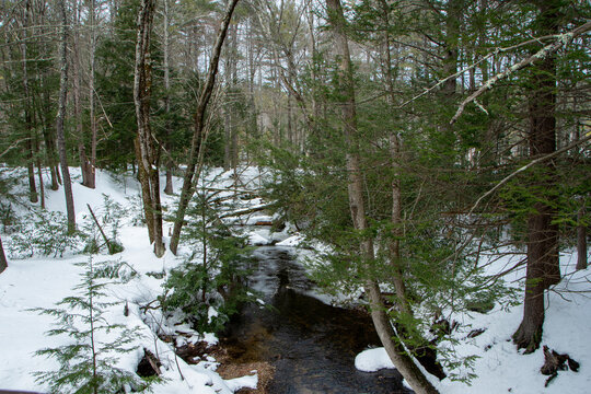the winter landscape of  pearl hill state park