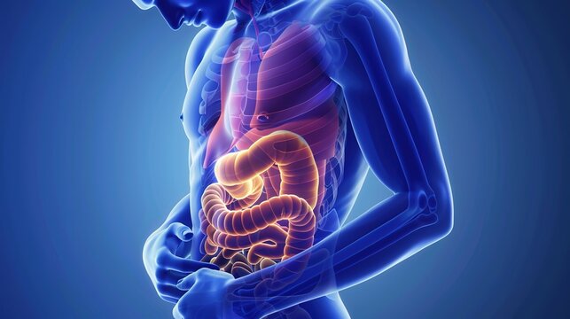 Understand Dyspepsia &ndash; Common Causes, Symptoms, and Management for Digestive Comfort and Gastric Health