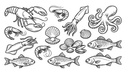 Seafood line art vector set lobster shrimp squid octopus scallops shellfish fish isolated on white background © Nahid