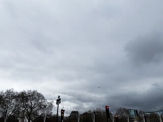 Overcast London street scene with bare trees, ornate lampposts, and red traffic signals at dusk