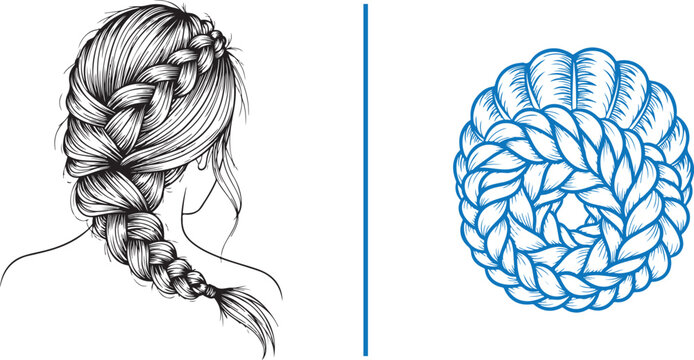 Beautiful vector line art featuring a detailed side-swept French braid and an intricate blue circular braided bun. Ideal for bridal hair inspiration, salon branding, and elegant beauty illustrations.