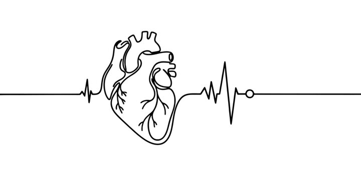 Continuous one line drawing of anatomical heart with heartbeat pulse