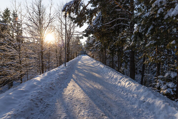Obraz premium Snow covered winter road through forest at sunset light