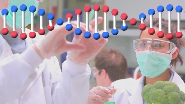 Animation of dna strand over diverse scientists vaccinating broccoli