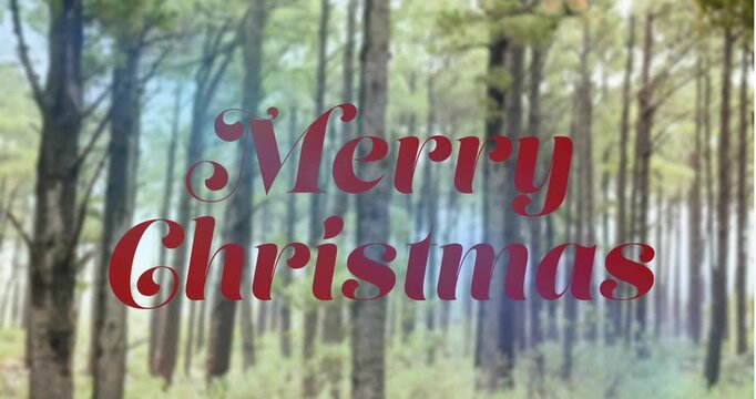 Animation of merry christmas text over trees in forest