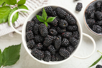 Composition with bowl of ripe blackberry and leaves on white grunge background, closeup © Pixel-Shot