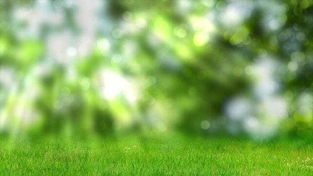 copy space for product presentations on green grass meadow in foreground of blurred spring background with defocused sun lights, idyllic nature scene