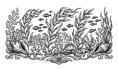 Vintage marine life engraving vector illustration with seashells coral seaweed and fish black and white isolated on white background © Nahid