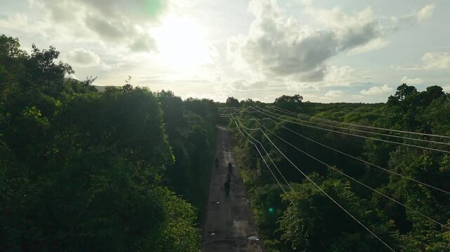Aerial view of a lush green mangrove forest bisected by a straight path with power lines, contrasting against the cloudy sky, Karimunjawa, Central Java, Indonesia.