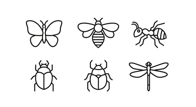 Insect icons set with line art style.