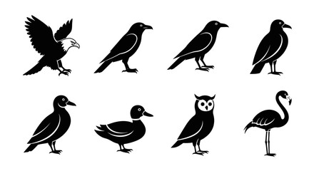 Obraz premium Collection of various bird silhouettes.