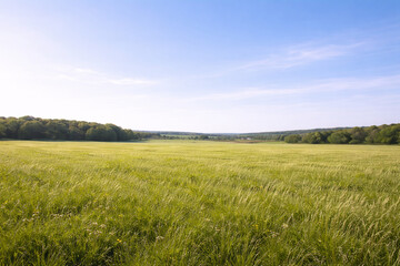 Fototapeta premium Peaceful Countryside Field with Wide Sky