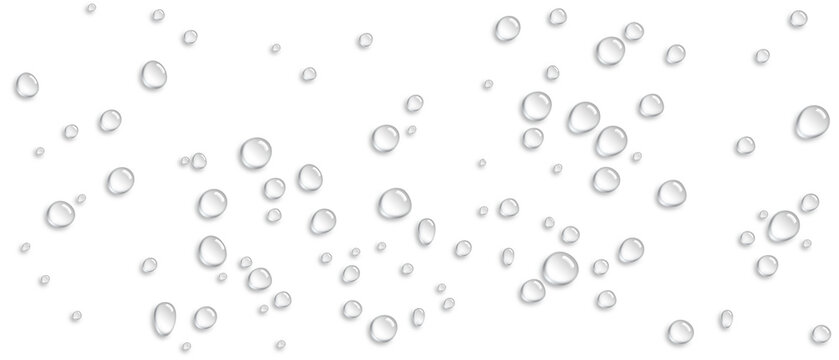 Realistic PNG water drops overlay isolated on a transparent background. Water condensation on surface, light reflection and realistic shadow. 3d isolated rain shower drops. Pure liquid transparency