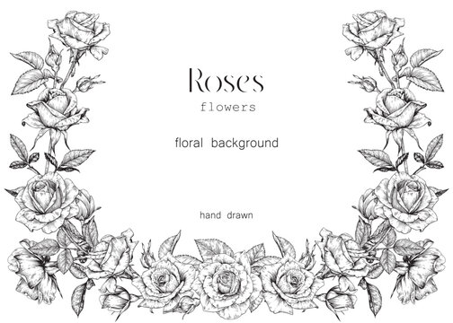 Vector vintage floral background flowering frame in black white. Delicate Roses flowers, leaves engraved elements. Toile art Hand drawn illustration for design greeting card, wedding decor, invitation