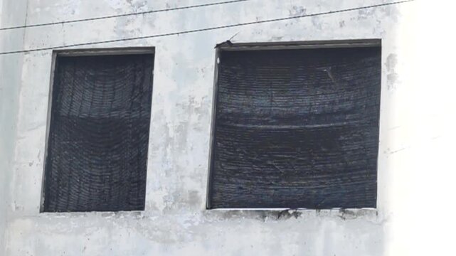 Swallows like sand martin (Riparia riparia) circle around an abandoned house, get through the window. Malaysia. Slow motion