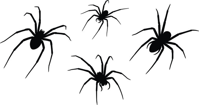 Black spider silhouette collection with crawling insect arachnid elements scary tarantula wolf spider cad drawing flat vector illustration for design