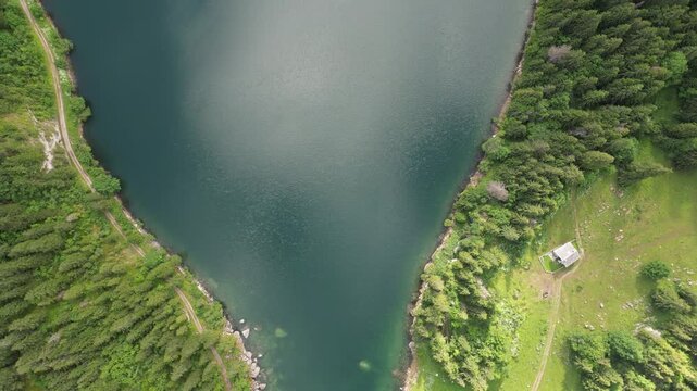 Aerial view of Lac de Taney, where the tranquil blue waters meet the lush green forests in a harmonious blend of nature's artistry, Lac de Taney, Valais, Switzerland.