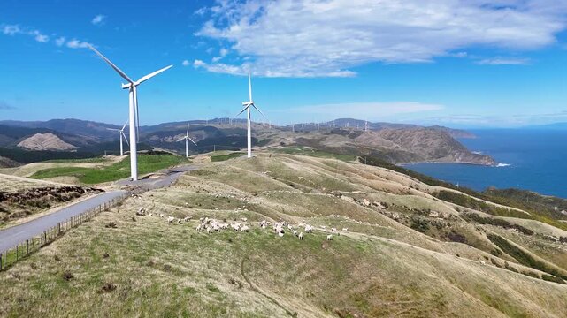 Aerial view of wind turbines standing tall on rolling green hills, contrasting with the blue sky and ocean in Ohariu Valley, Wellington, New Zealand.