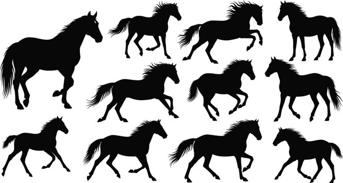 Black horse silhouette set featuring wild stallions and mares in various poses like running galloping jumping and standing isolated on white background vector illustration
