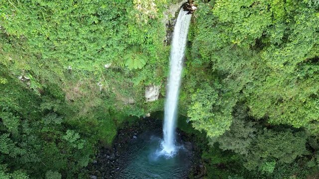 Aerial drone view of Kawasan Falls in Badian, Cebu, Philippines. Tall waterfall cascades into a deep emerald pool surrounded by dense tropical jungle vegetation