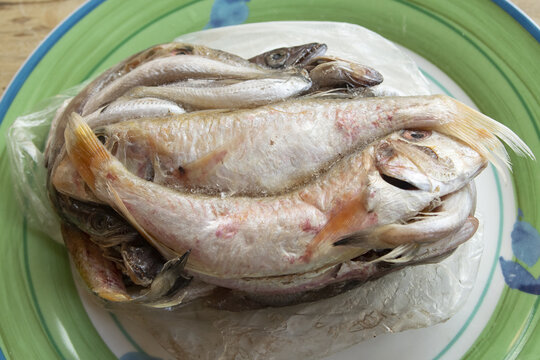 Frozen mixed mediterranean paranza fish