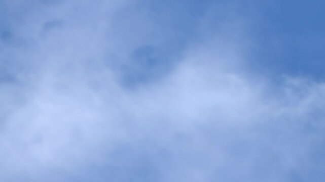 The flight of the great swifts (Apus melba) and fork-tailed swift (Apus pacificus). slow motion. Vietnam. Slow motion